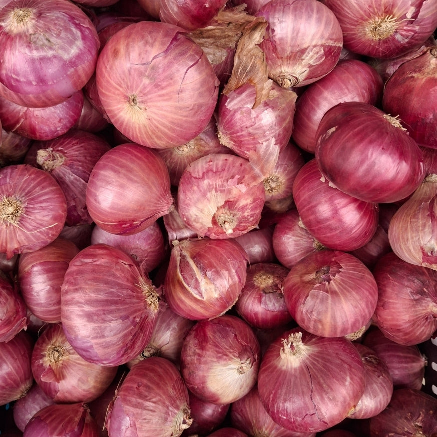 Onion