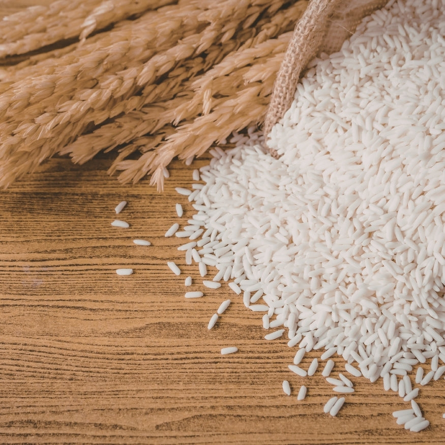 Rice
